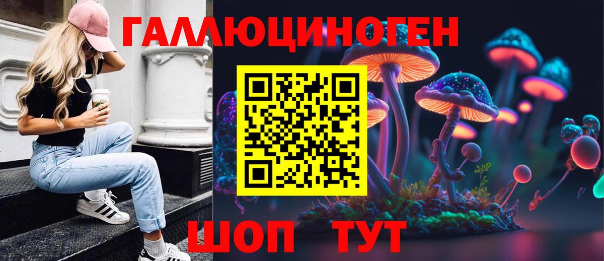 Псилоцибиновые грибы Psilocybe Самара