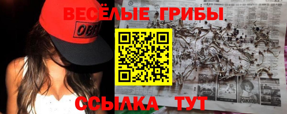 Псилоцибиновые грибы GOLDEN TEACHER  Вход с VPN  Галлюциногенные грибы Cubensis  Самара 
